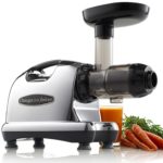 Omega J8006 Slow Speed Masticating Juicer