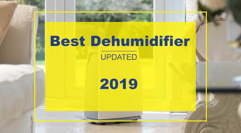 10 Best Dehumidifiers For 2019 The Definitive Guide And