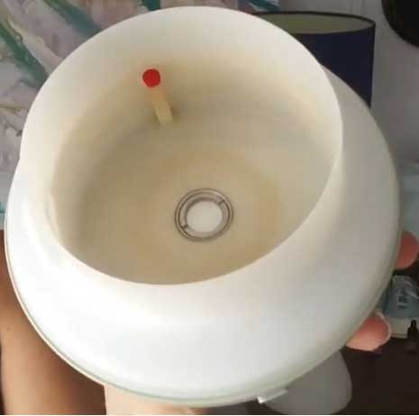 mold in essential oil diffuser