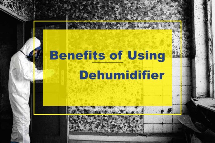 Benefits of Using Dehumidifier in Your Home
