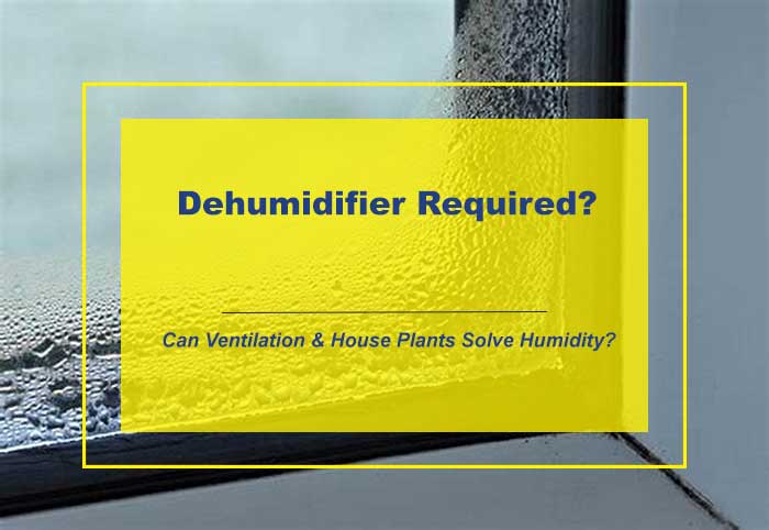 Do I need a Dehumidifier