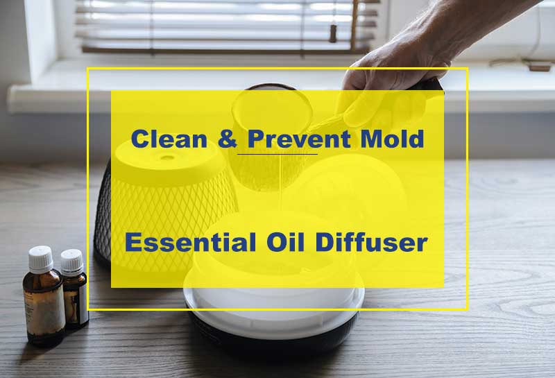 How To Prevent and Clean: Mold in a Diffuser