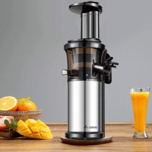 Aobosi Vertical Slow Juice Extractor Main