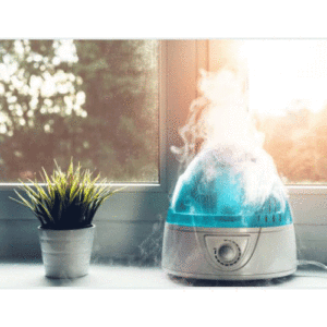 Humidify plants