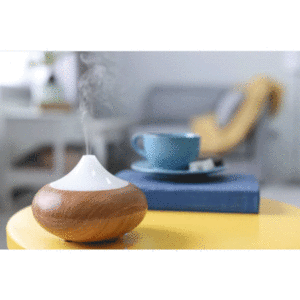 Humidifier