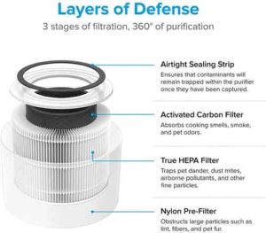 LEVOIT-Air-Purifier-Core-300-Filter