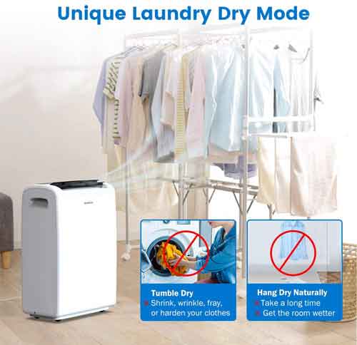 Best Dehumidifier For Drying Clothes (Updated Jun 2021)