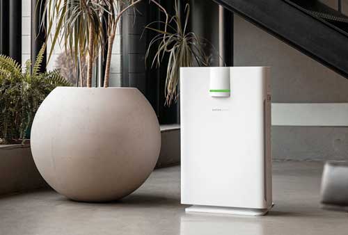 Hathaspace-HSP002-Air-Purifier-with-Plants
