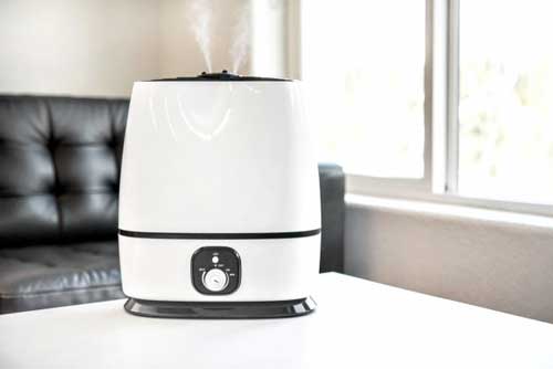 Everlasting-Comfort Humidifier In a Room