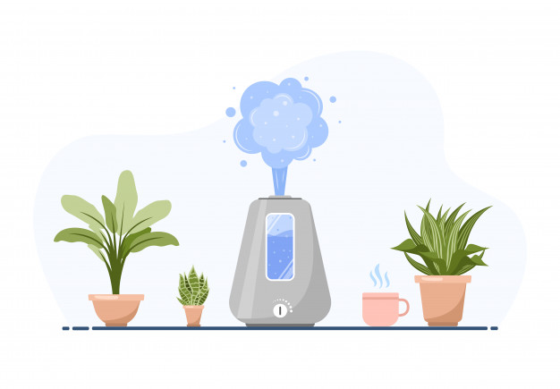 Humidifier-House-Plants
