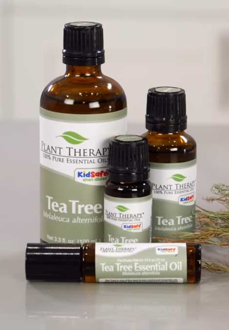 Tea-tree-oil